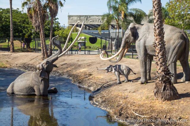 La Brea Tar Pits-14