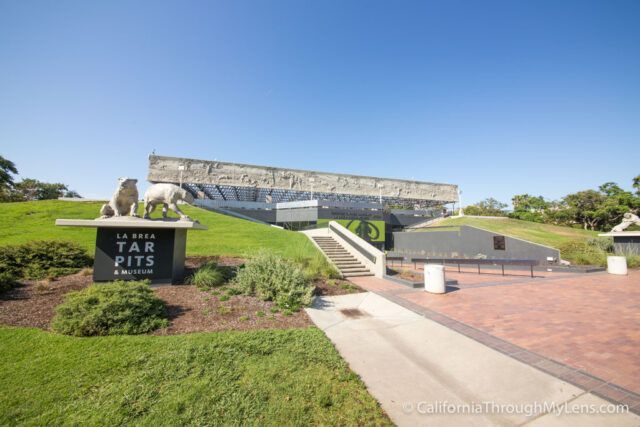 La Brea Tar Pits-2