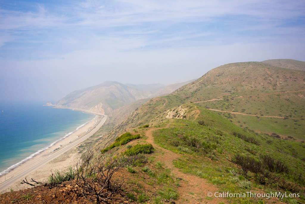 Pacific Coast Highway Road Trip {25 Stops + 7 Day Guide} - California  Through My Lens