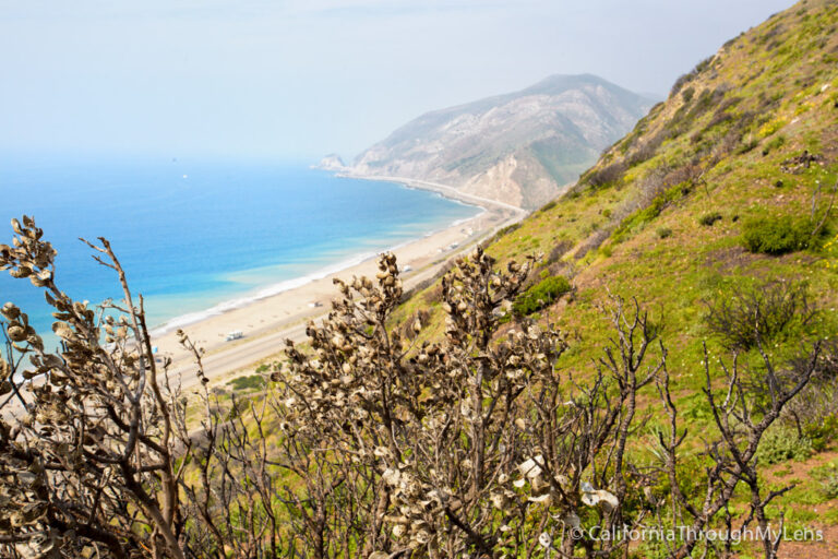Point Mugu State Park: Sycamore Canyon Scenic Trail Hike
