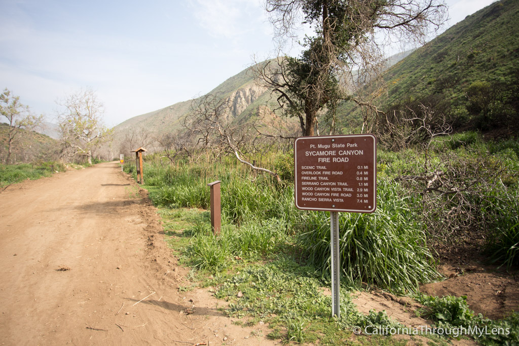 Point Mugu State Park Sycamore Canyon Scenic Trail Hike California