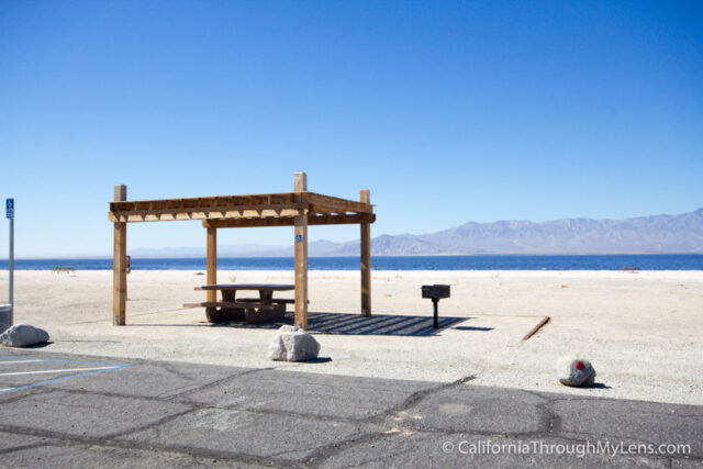 Salton Sea State Park-2-2