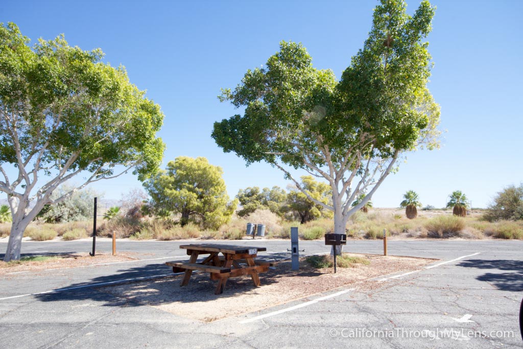 Salton Sea State Park-3-2