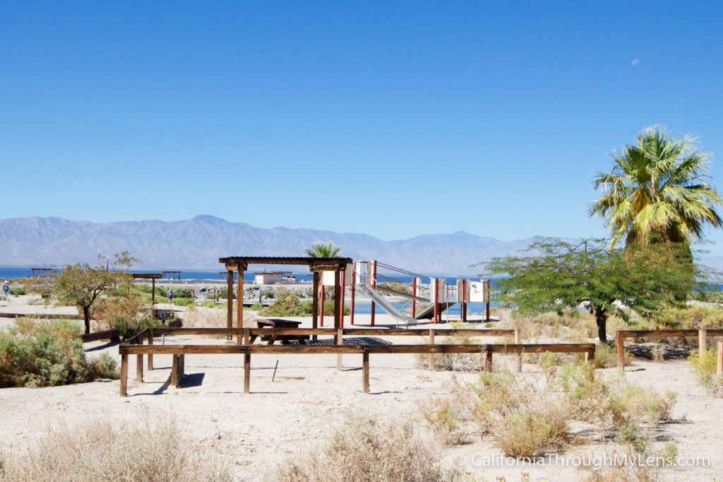 Salton Sea State Park-5-2