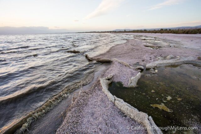 Salton Sea State Park-7