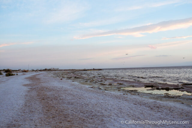 Salton Sea State Park-8