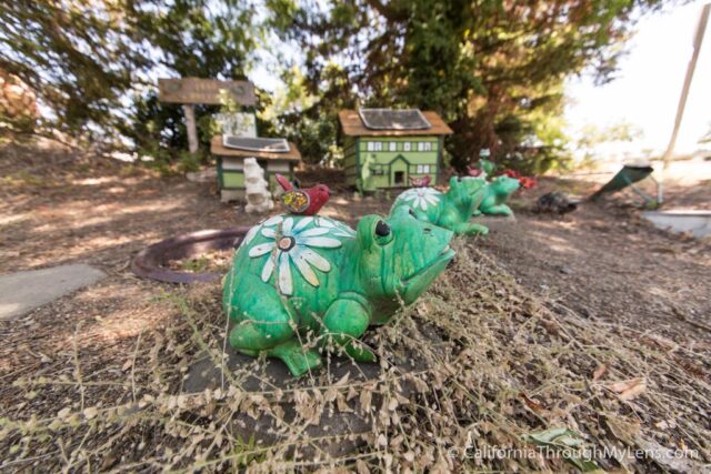 Toads Hollow: A Tunnel Underpass for Toads in Davis - California