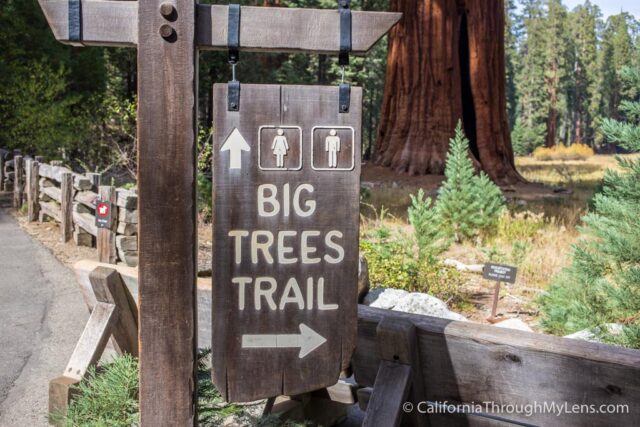 Big trees outlet loop trail yosemite