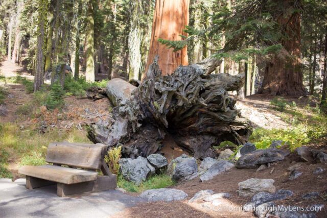 Lands End Trail: One of the Best Hikes in San Francisco