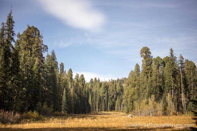 Crescent meadow shop loop trail