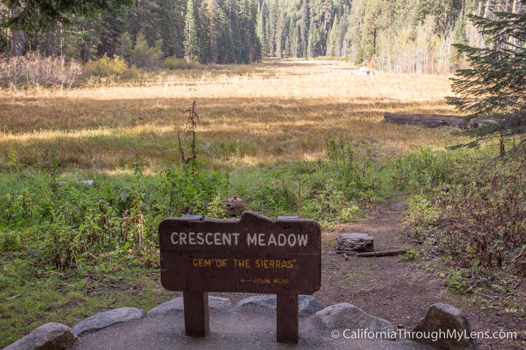 Crescent Meadow in Sequoia National Park California Through My Lens