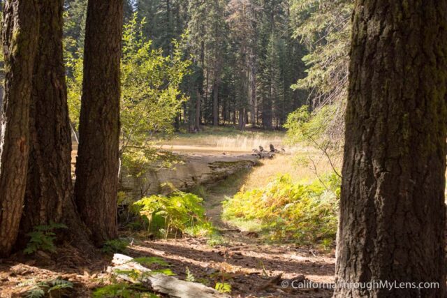 Crescent Meadow in Sequoia National Park California Through My Lens