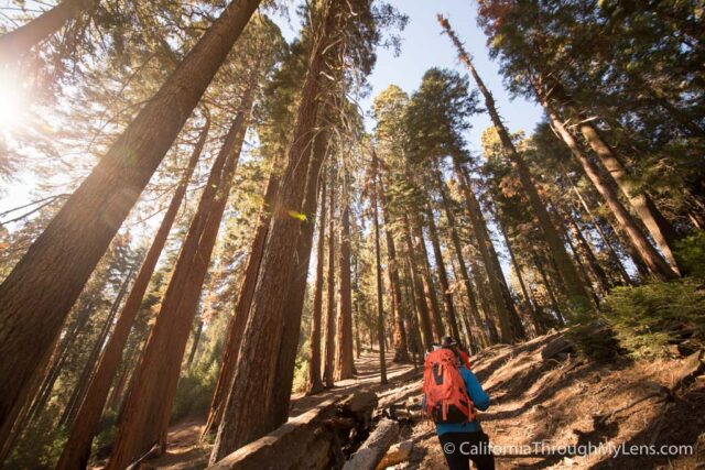 Sugarbowl Trail-3