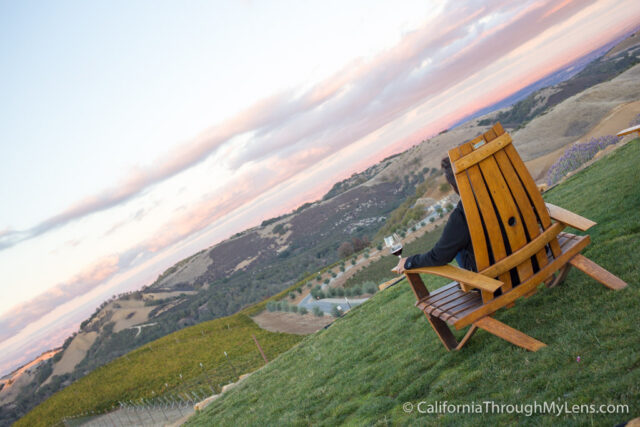 Daou Winery-6