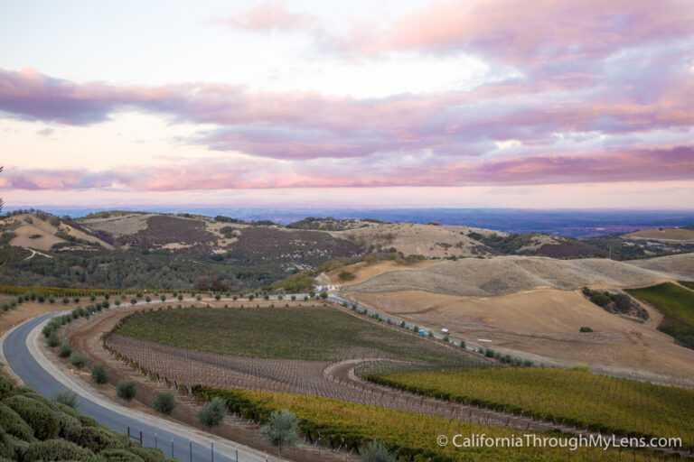 Daou Winery: Paso Robles Best Spot for Sunset