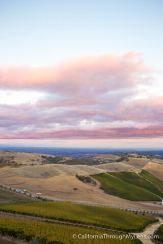 Daou Winery-9