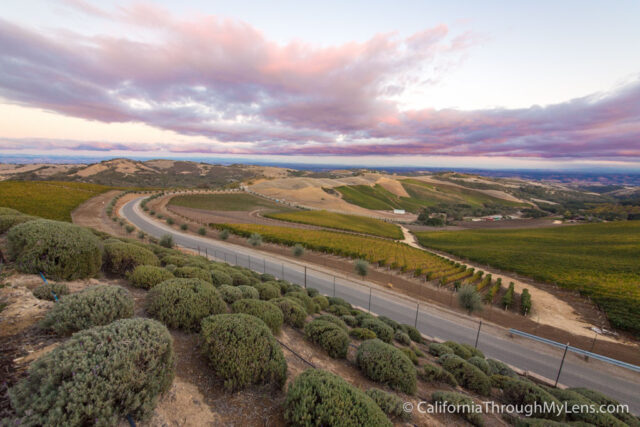 Daou winery-1