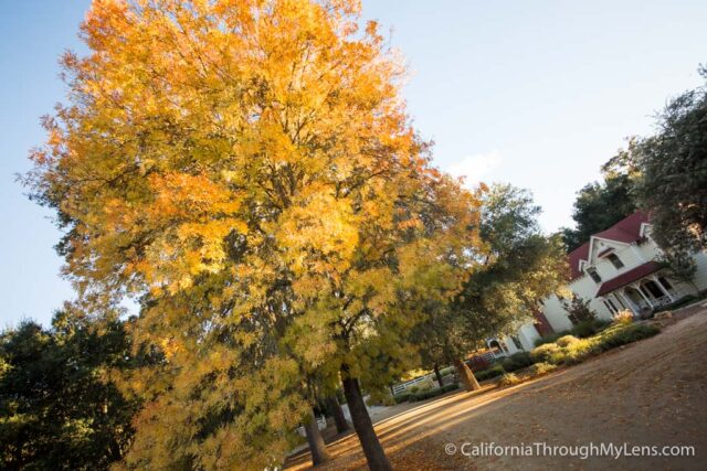 Best California Winery Tour - Halter Ranch Winery 