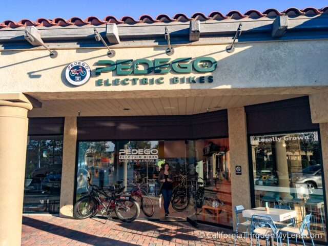 Pedego Electric Bike Tour-16