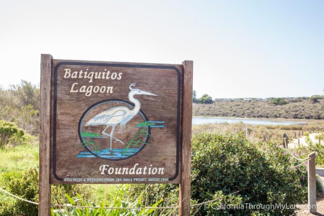 Batiquitos Lagoon Trail: Easy, Beautiful Hiking in Carlsbad ...