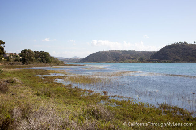 Batiquitos Lagoon-6