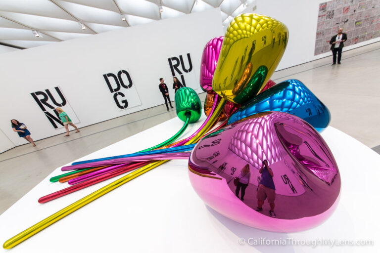 The Broad Museum in Downtown Los Angeles: Breathtaking Installations & Unique Art