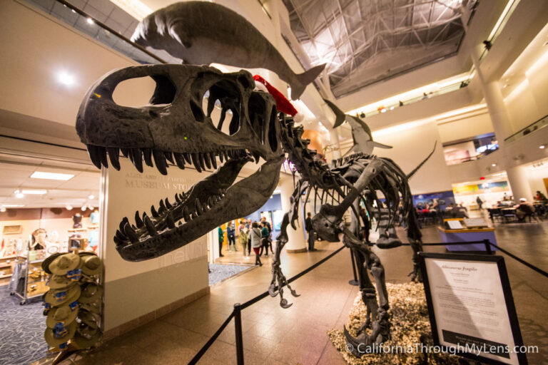 theNat: San Diego Natural History Museum in Balboa Park