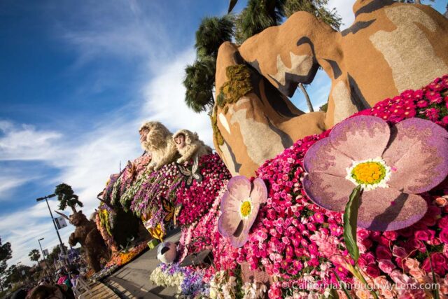 Rose Parade Floats-16