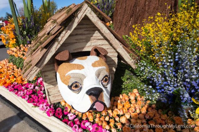 Rose Parade Floats-17