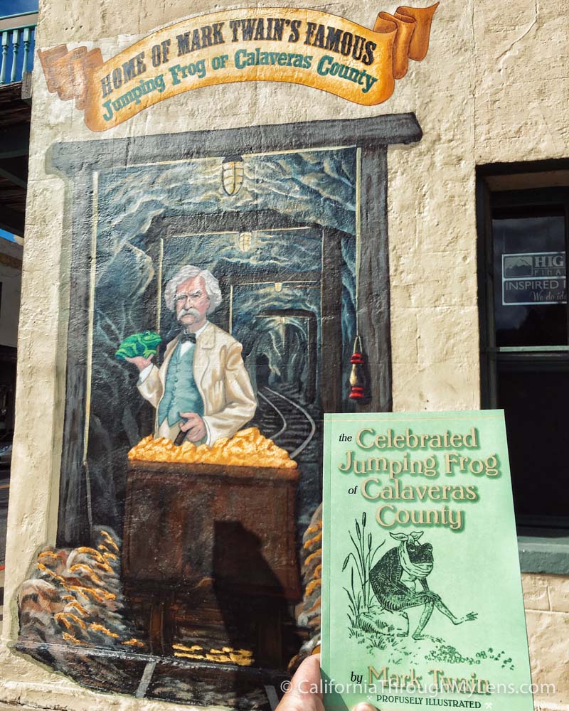 Angels Camp Jumping Frogs & Mark Twain History in Calavares County