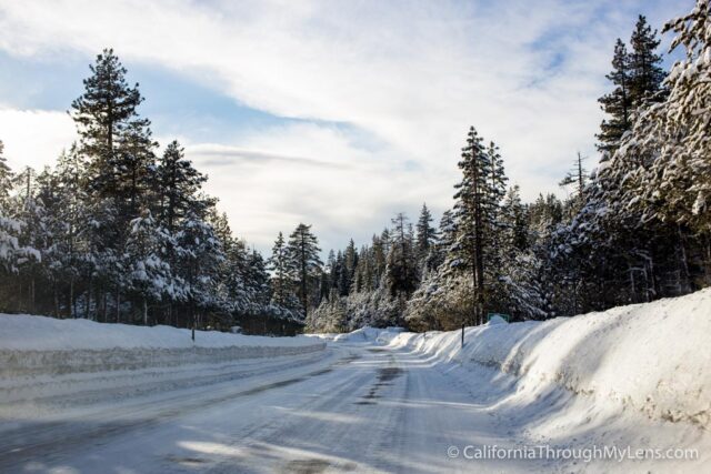 Cross Country Skiing Bear Valley-13