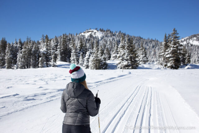 Cross Country Skiing Bear Valley-2