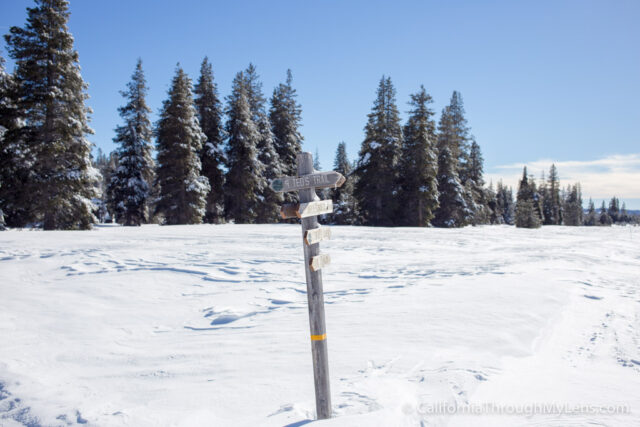 Cross Country Skiing Bear Valley-3