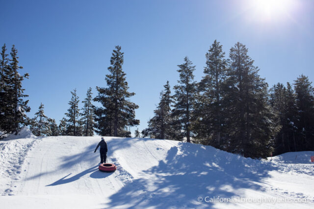 Cross Country Skiing Bear Valley-5