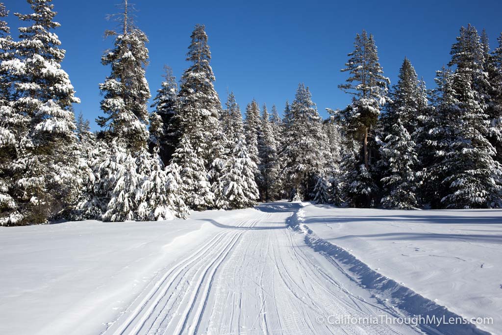 Bear Valley Cross Country Skiing, Tubing & Snow Biking California