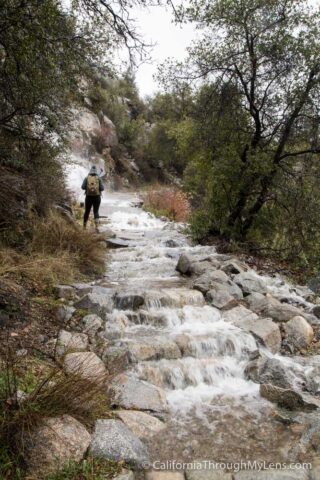 Hetch Hetchy-6