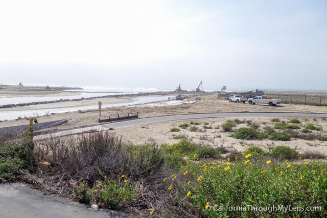 Biking Huntington Beach-14