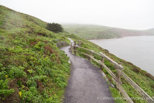 Elephant Seal Overlook-2