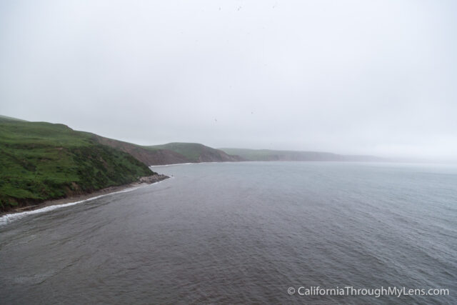 Elephant Seal Overlook-4