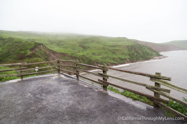 Elephant Seal Overlook-7