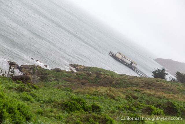 Elephant Seal Overlook-8