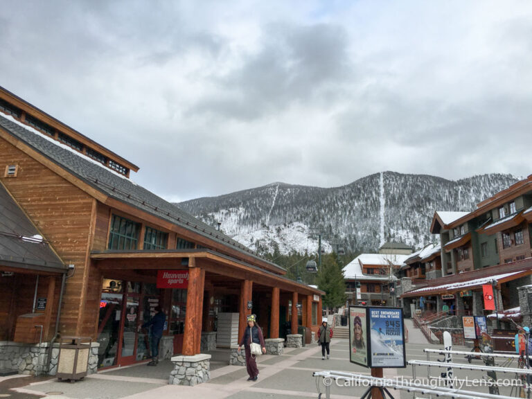 Heavenly Scenic Gondola Ride & Heavenly Donuts California Through My Lens