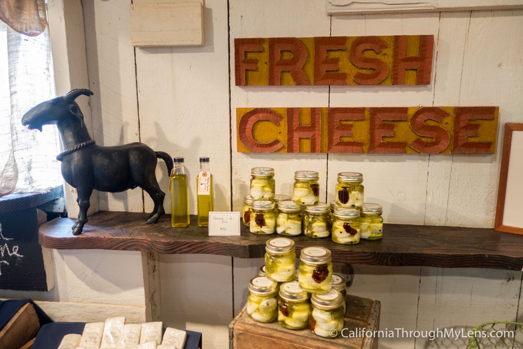 Harley Farms Goat Cheese Producing Farm in Pescadero California