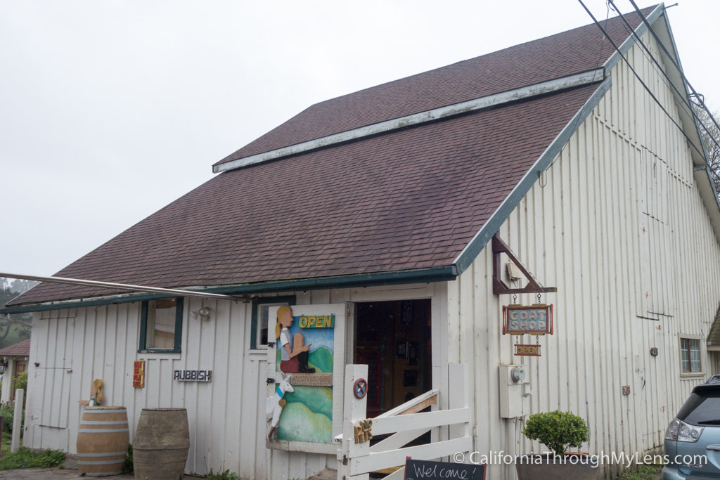Harley Farms Goat Cheese Producing Farm in Pescadero California