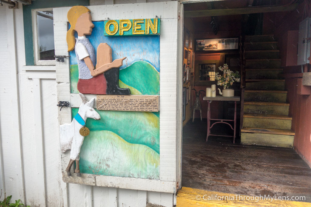 Harley Farms Goat Cheese Producing Farm in Pescadero California