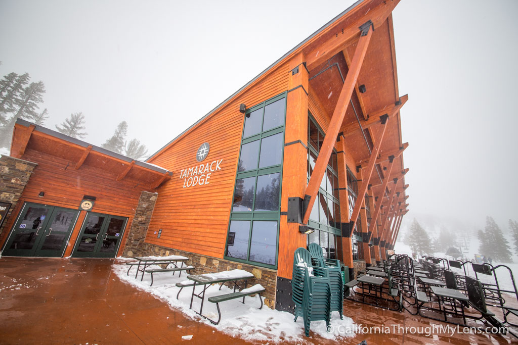 Heavenly Scenic Gondola Ride & Heavenly Donuts California Through My Lens