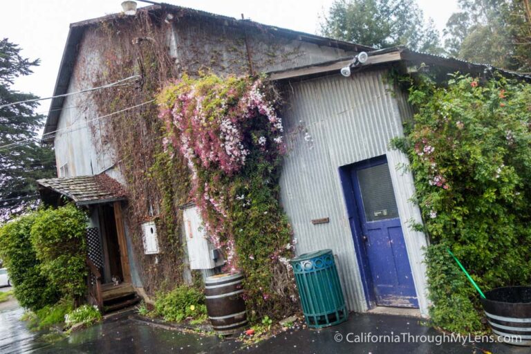 La Nebbia Winery in Half Moon Bay