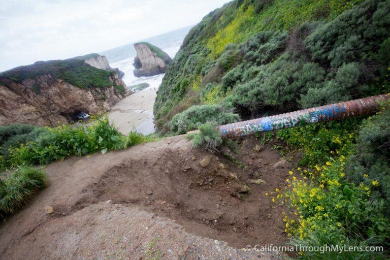 Shark Fin Cove: One of Northern California's Best Beaches - California ...