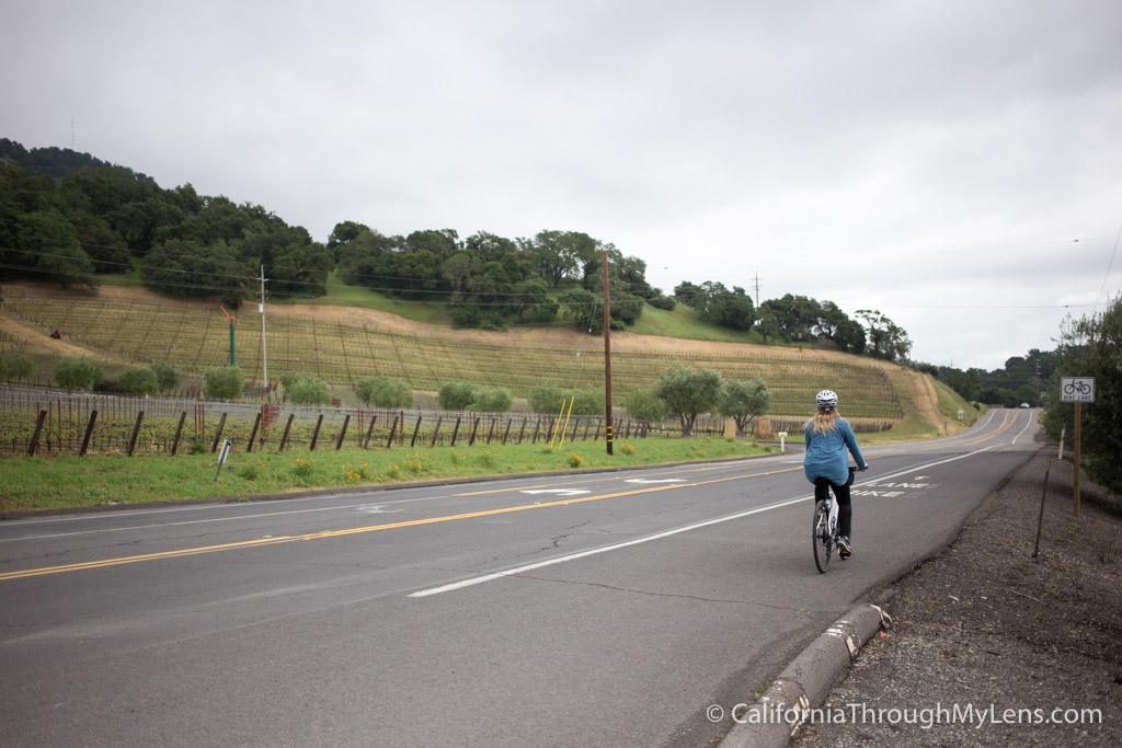 Biking to Wineries in Yountville with Napa Valley Bike Tours