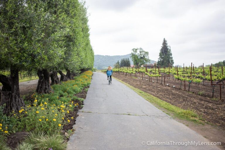 Biking to Wineries in Yountville with Napa Valley Bike Tours